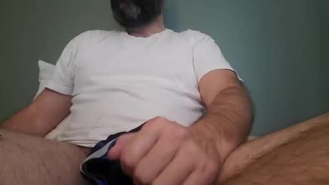 hippopotamus7 online show from 8, 10, 2025