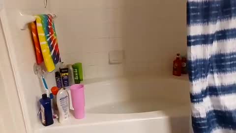 Snapshot of hippydippychick chatting on 13, 11, 2025 hippydippychick online show from 13, 11, 2025