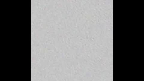 hofnung online show from 14, 2, 2026