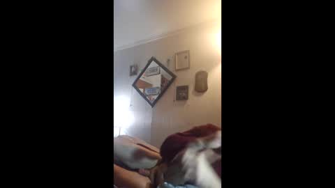 Snapshot of hoglegg99384194 chatting on 27, 4, 2026 hoglegg99384194 online show from 27, 4, 2026