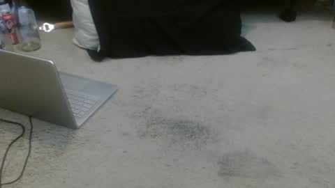 Snapshot of hollyhawkes chatting on 13, 1, 2026 Holly Hawkes online show from 13, 1, 2026