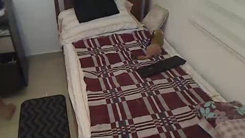 Holofernes45gil online show from 3, 4, 2026