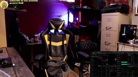 Honey and Bear online show from 2, 12, 2024