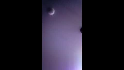 honeybear2026 online show from 22, 12, 2025