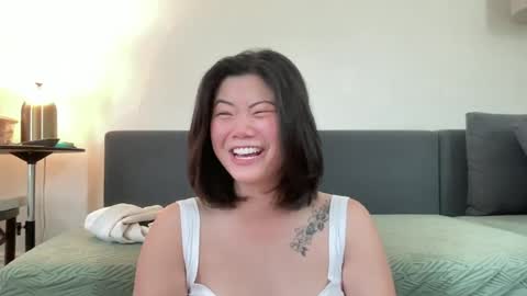 HoneySunshineNeko online show from 7, 7, 2026