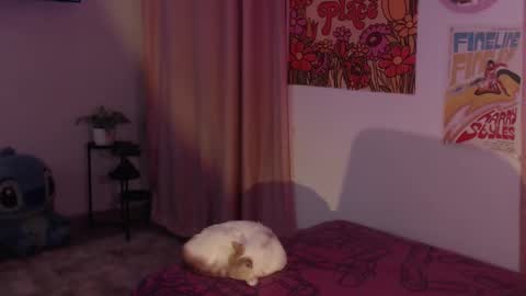 Snapshot of honeyypeaach chatting on 11, 12, 2024 online show from 11, 12, 2024