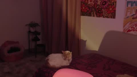 Snapshot of honeyypeaach chatting on 18, 12, 2024 online show from 18, 12, 2024