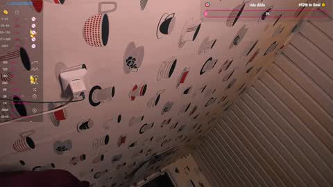 the perfectgirl online show from 28, 12, 2024