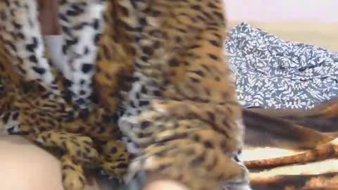 Snapshot of horny_hey chatting on 2, 3, 2025 Serena online show from 2, 3, 2025