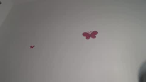 Iris online show from 4, 12, 2025