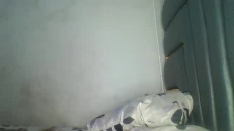 Bella online show from 3, 5, 2026