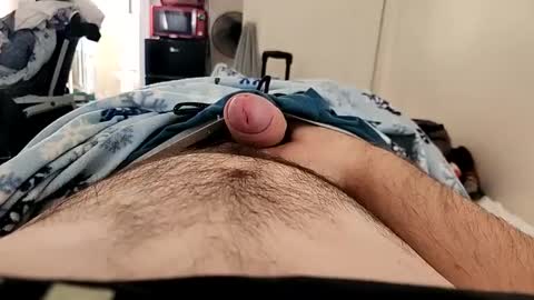 Snapshot of hornychitown24 chatting on 14, 12, 2024 hornychitown24 online show from 14, 12, 2024