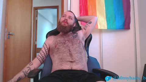 Harry online show from 3, 5, 2026