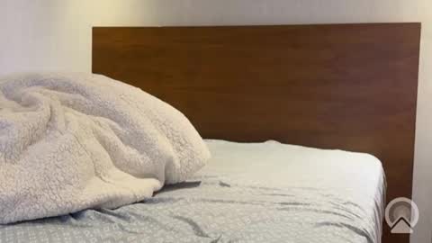 hornytony69420 online show from 6, 1, 2026