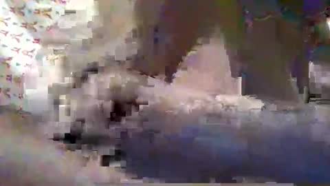 ALLYN online show from 2, 10, 2025