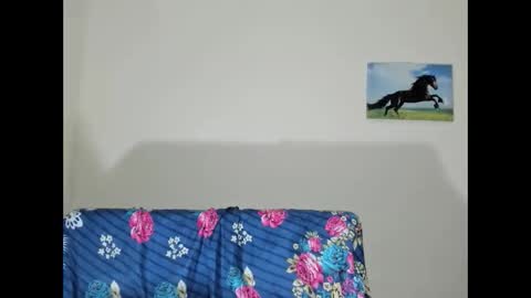 junior online show from 7, 3, 2026