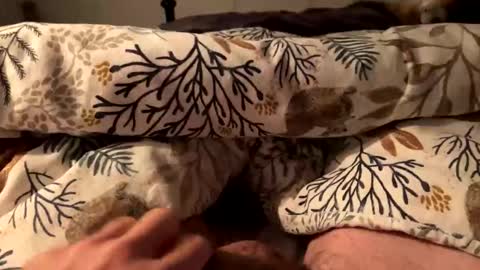 Snapshot of hot_for_you_ chatting on 18, 10, 2025 hot_for_you_ online show from 18, 10, 2025