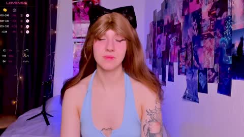  Next stream 28112024 8 GMT 3 online show from 20, 1, 2025