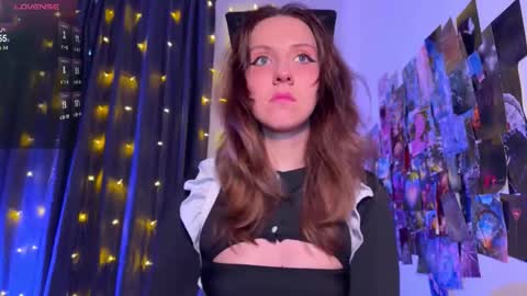  Next stream 28112024 8 GMT 3 online show from 11, 1, 2026