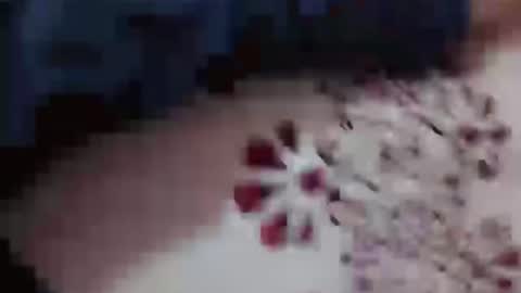 Snapshot of hotcapolx chatting on 23, 11, 2025 Hotcapolx online show from 23, 11, 2025