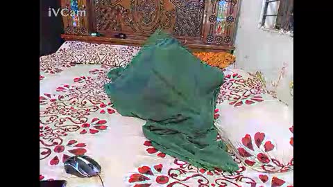 Snapshot of hotcapolx chatting on 24, 11, 2025 Hotcapolx online show from 24, 11, 2025