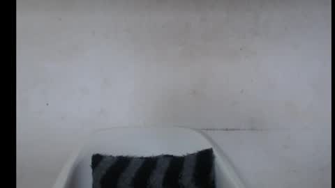 Snapshot of hotjessie0 chatting on 7, 10, 2025 hotjessie0 online show from 7, 10, 2025