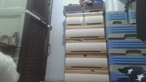 Snapshot of hotlavender chatting on 17, 12, 2025 hotlavender online show from 17, 12, 2025