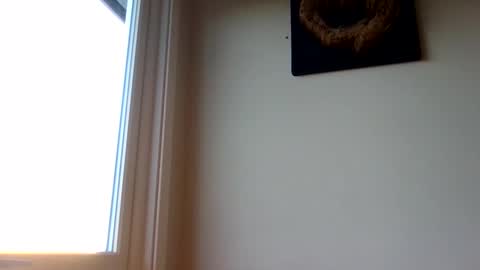 hototo2 online show from 25, 11, 2025