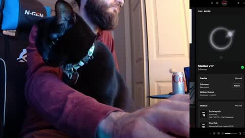 hotpumpkinpies online show from 5, 4, 2026