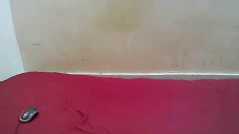 Snapshot of hotpussy1225 chatting on 10, 11, 2025 hotpussy1225 online show from 10, 11, 2025