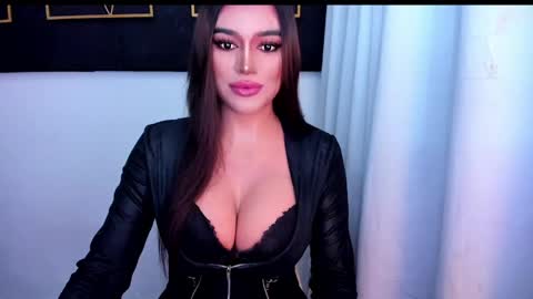 STELLA online show from 8, 5, 2026