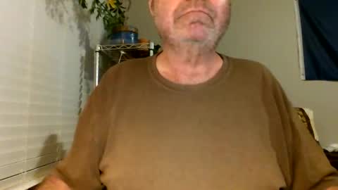 Hottop 1981 online show from 30, 4, 2026