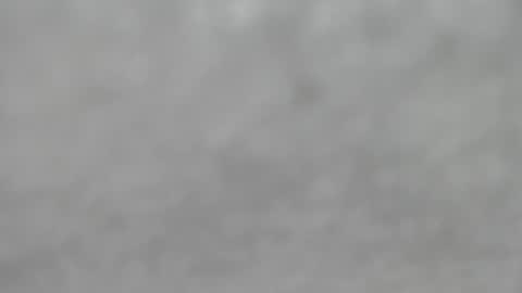 Snapshot of hourg chatting on 12, 10, 2025 Slutty little female cat online show from 12, 10, 2025