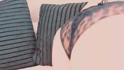 milli online show from 17, 12, 2024