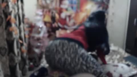 hugeassdevil online show from 23, 1, 2025