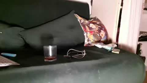 humberto_21cm online show from 28, 6, 2026