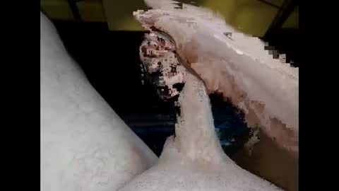 hung_mac0 online show from 20, 5, 2026