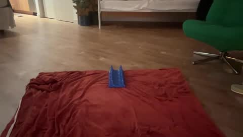 Olive online show from 19, 10, 2025