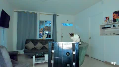 iam_your_fantasy online show from 4, 12, 2025