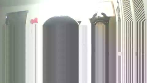 Snapshot of iamproprojectcandysugarbaby chatting on 13, 9, 2025 I LOVE  MY   COCONUT   EAT  MY   COCONUTS online show from 13, 9, 2025