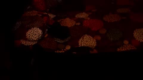 MADAM  MISTRESS ASIANA online show from 21, 12, 2025