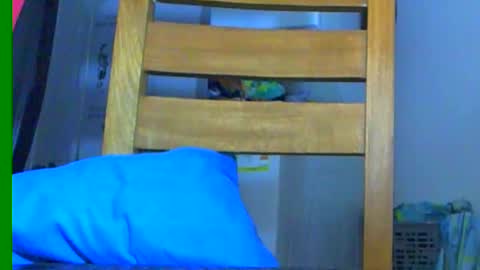 Samuel igsamuelnoguera 1333 online show from 1, 12, 2024