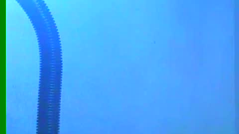 Samuel igsamuelnoguera 1333 online show from 18, 12, 2024