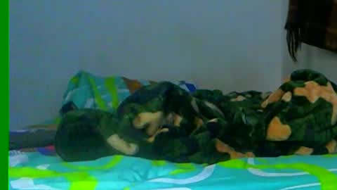 Samuel igsamuelnoguera 1333 online show from 26, 12, 2024