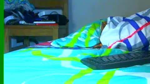 Samuel igsamuelnoguera 1333 online show from 28, 12, 2024