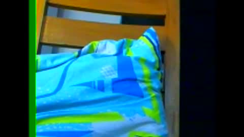 Samuel igsamuelnoguera 1333 online show from 7, 1, 2025