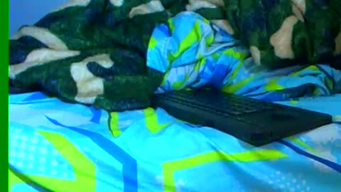 Samuel igsamuelnoguera 1333 online show from 19, 1, 2025