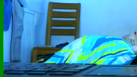 Samuel igsamuelnoguera 1333 online show from 26, 1, 2025