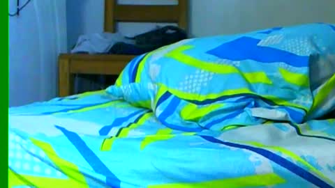 Samuel igsamuelnoguera 1333 online show from 26, 1, 2025