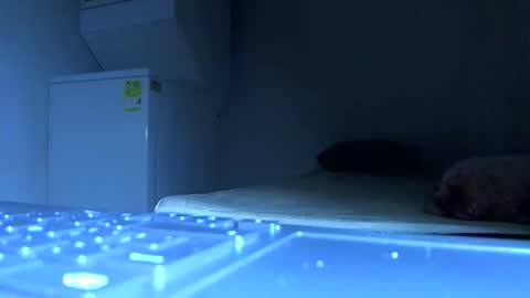 Samuel igsamuelnoguera 1333 online show from 21, 10, 2025